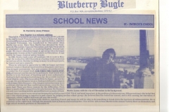 blueberrybugle